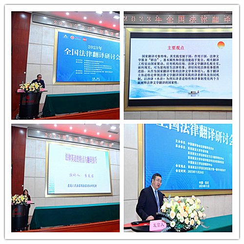 杨小虎_副本.png