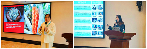 重庆市高等教育学会 重庆市高等教育学会